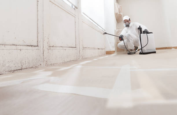 24/7 Emergency Mold Removal experts in Fairview, GA