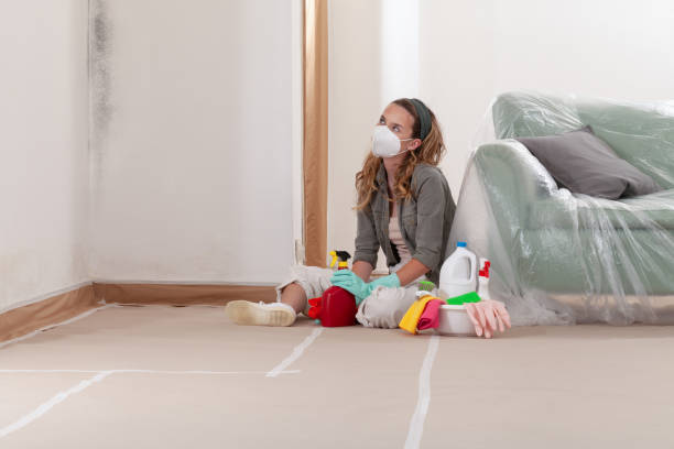 Reliable Mold Removal contractor in Fairview, GA by WQB Mold Removal